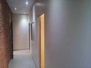 Ceilings and Partition