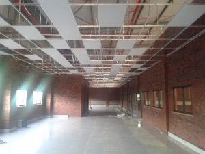 Ceilings and Partition