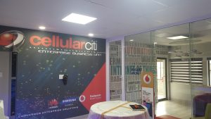 Ceilings and Partition